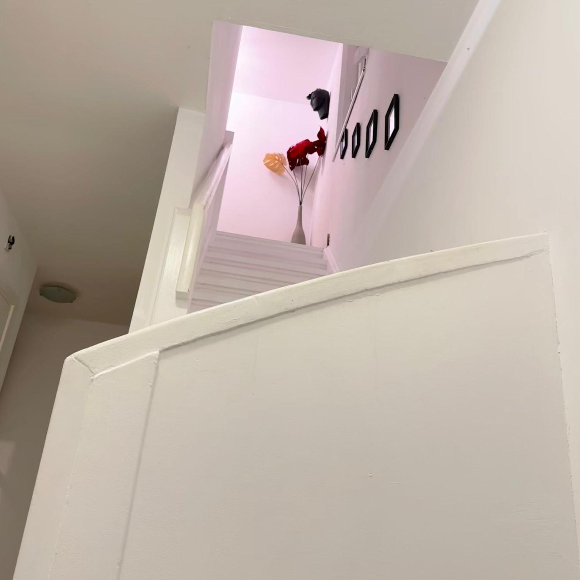 B&B Bredeweg Roermond Dış mekan fotoğraf